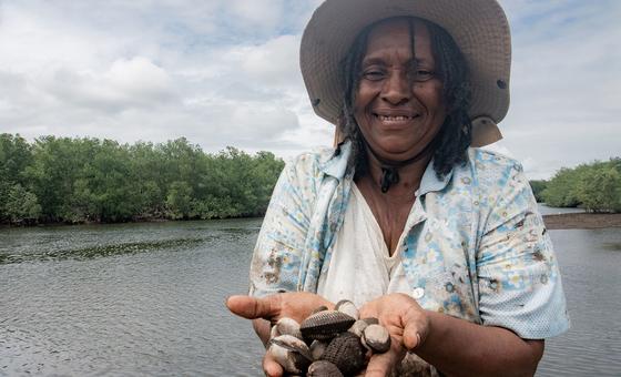 Iniciativa apoiada por FAO aprova US$ 68 milhões para sistemas agrícolas